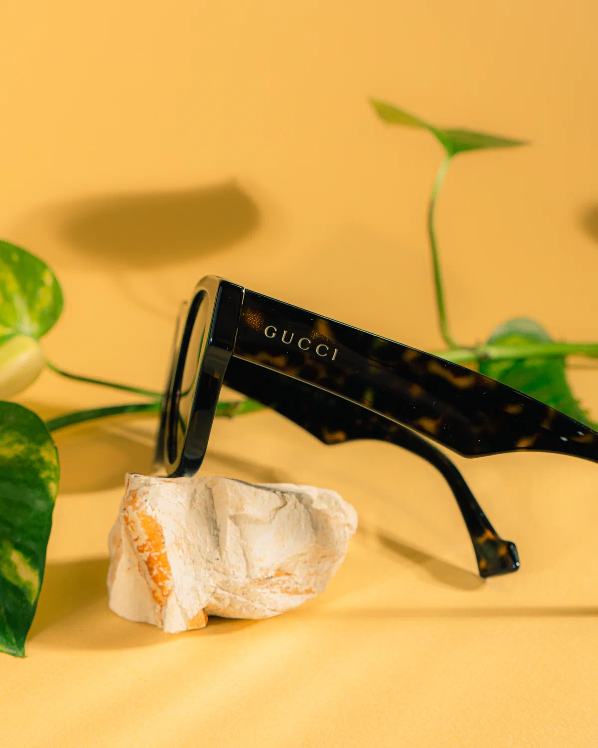 Lentes de sol Gucci de carey sobre piedra blanca con hojas de potos, fondo amarillo
