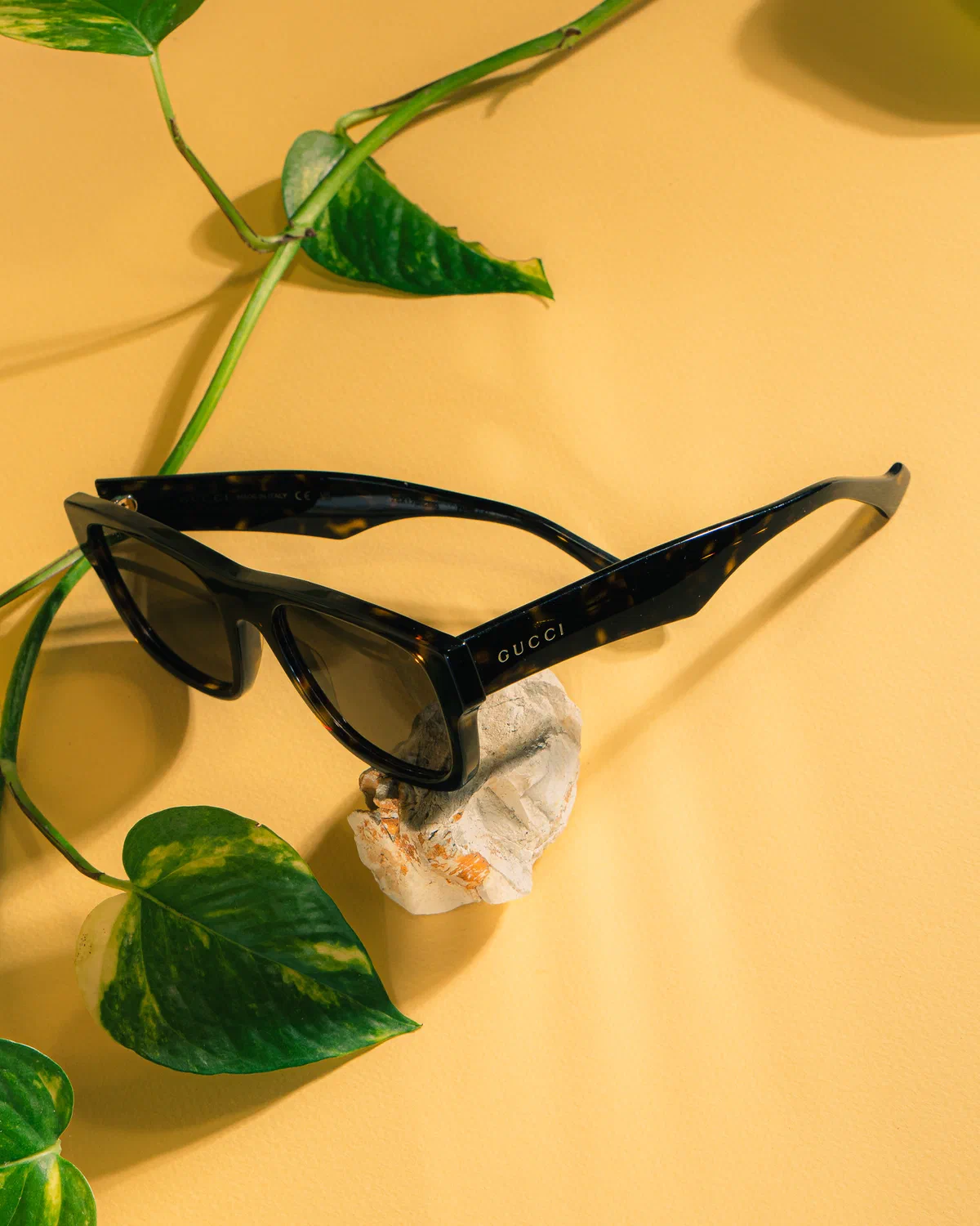 Lentes de sol Gucci entre hojas verdes colgantes sobre fondo amarillo